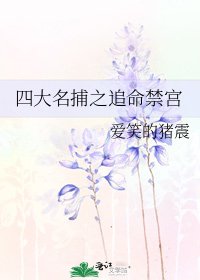 四大名捕之追命禁宫